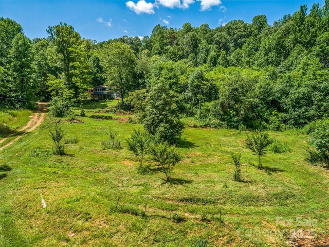 124 Cozy Cove Ln, Saluda, NC 28773 - photo 7