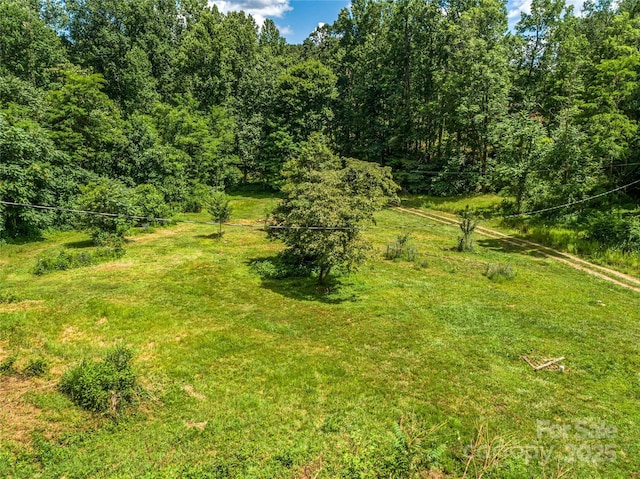 124 Cozy Cove Ln, Saluda, NC 28773 - photo 8