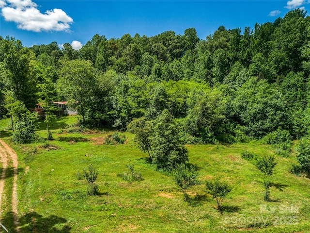 124 Cozy Cove Ln, Saluda, NC 28773 - photo 9