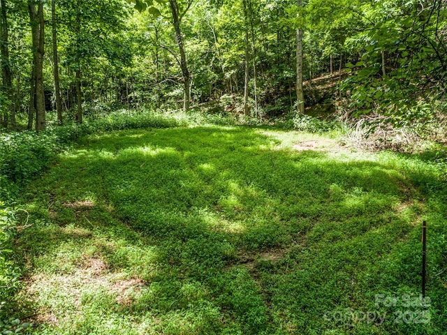 124 Cozy Cove Ln, Saluda, NC 28773 - photo 11
