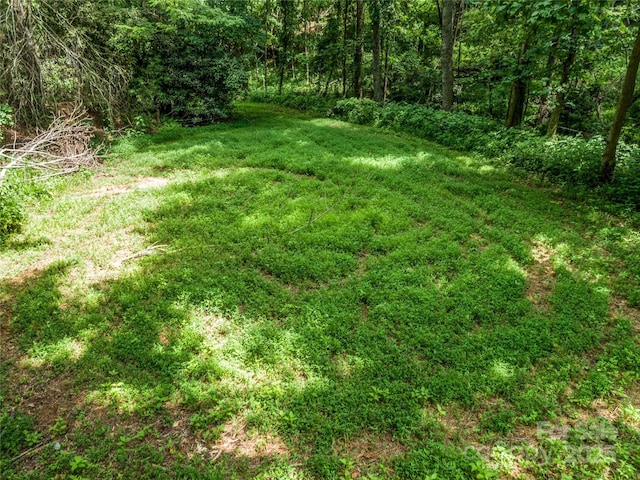 124 Cozy Cove Ln, Saluda, NC 28773 - photo 12