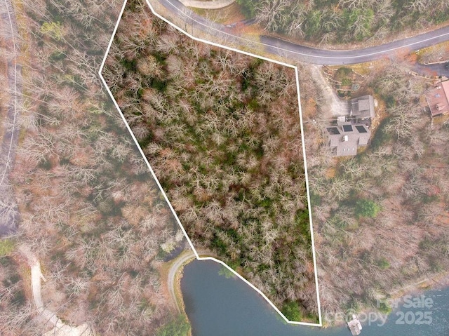 TBD Agaliha Lane, Brevard, NC 28712 - photo 1