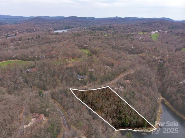 TBD Agaliha Lane, Brevard, NC 28712 - photo 2