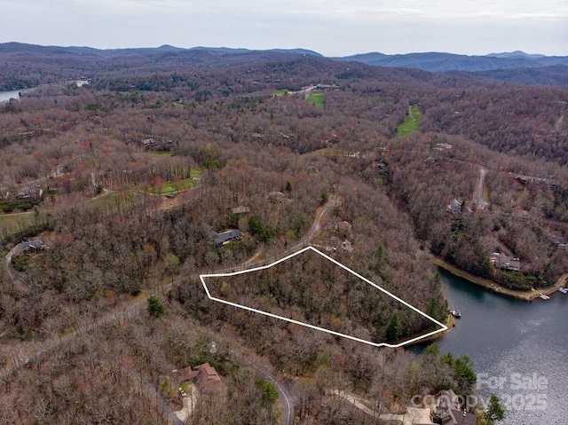 TBD Agaliha Lane, Brevard, NC 28712 - photo 3