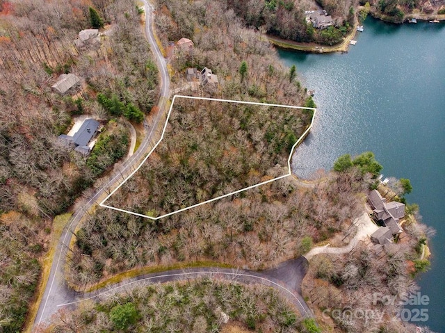 TBD Agaliha Lane, Brevard, NC 28712 - photo 4