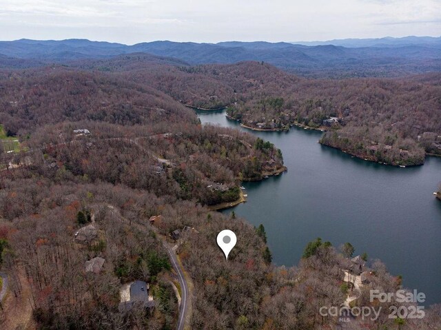 TBD Agaliha Lane, Brevard, NC 28712 - photo 5