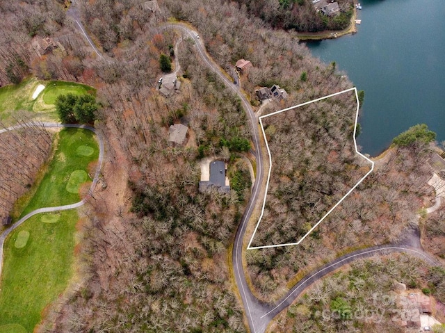 TBD Agaliha Lane, Brevard, NC 28712 - photo 6