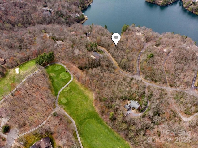 TBD Agaliha Lane, Brevard, NC 28712 - photo 7