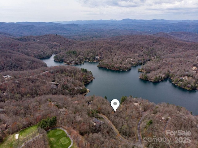 TBD Agaliha Lane, Brevard, NC 28712 - photo 8