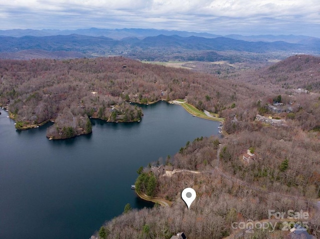 TBD Agaliha Lane, Brevard, NC 28712 - photo 11