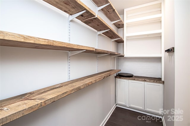 17718 Terryglass Ln, Charlotte, NC 28278 - view of storage area