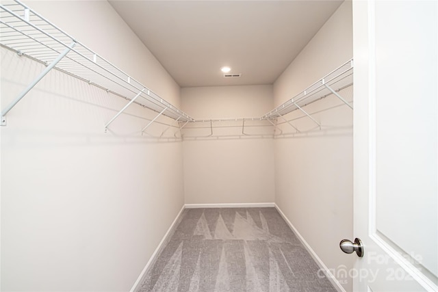 17718 Terryglass Ln, Charlotte, NC 28278 - walk in closet featuring carpet floors