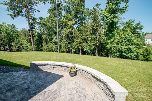 17718 Terryglass Ln, Charlotte, NC 28278 - view of green lawn featuring a patio