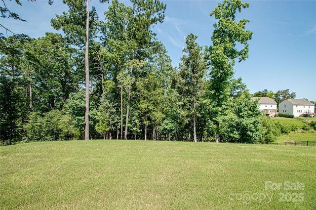 17718 Terryglass Ln, Charlotte, NC 28278 - view of grassy yard