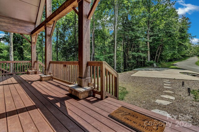 306 Feather Falls Trl, Black Mountain, NC 28711 - photo 12