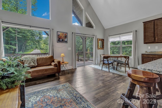 306 Feather Falls Trl, Black Mountain, NC 28711 - photo 26