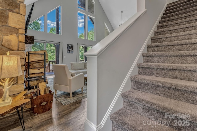 306 Feather Falls Trl, Black Mountain, NC 28711 - photo 38