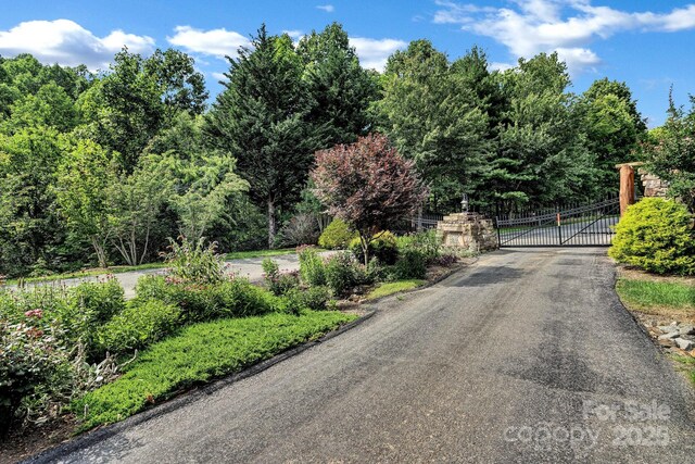 306 Feather Falls Trl, Black Mountain, NC 28711 - photo 48