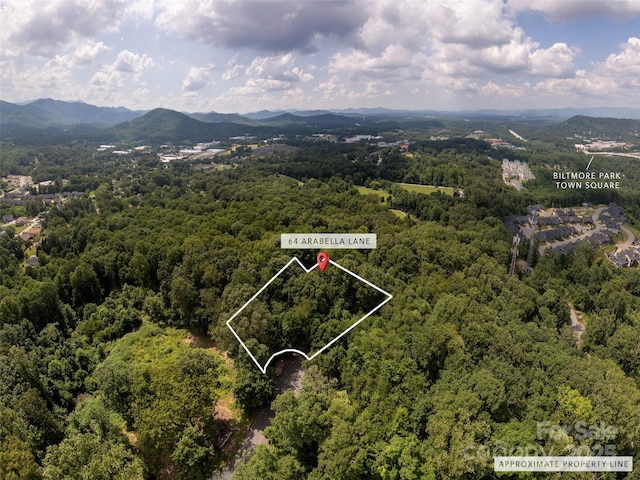 64 Arabella Ln, Arden, NC 28704 - photo 1