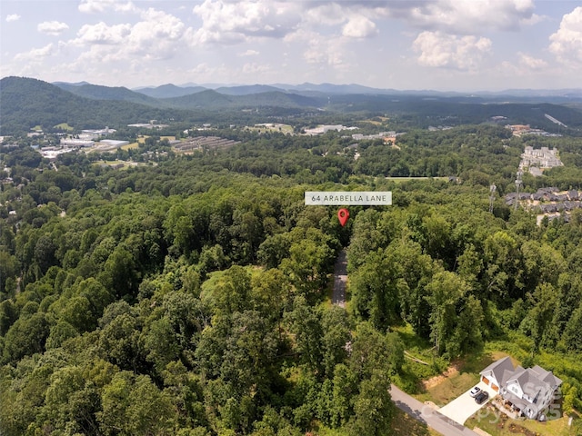64 Arabella Ln, Arden, NC 28704 - photo 3