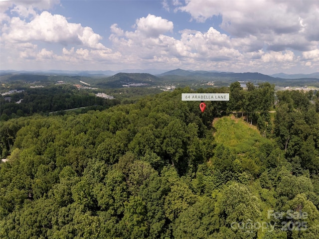 64 Arabella Ln, Arden, NC 28704 - photo 4