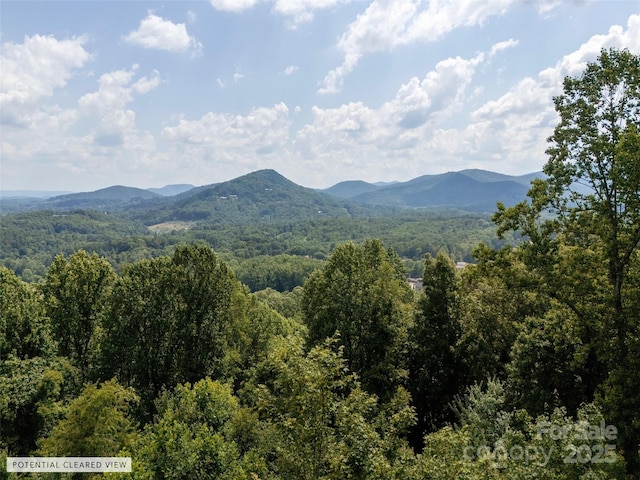 64 Arabella Ln, Arden, NC 28704 - photo 6