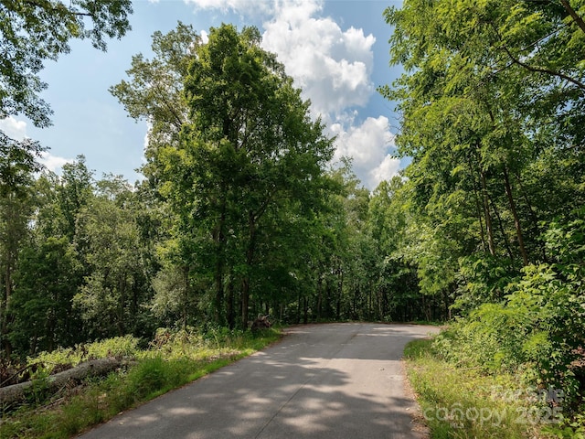 64 Arabella Ln, Arden, NC 28704 - photo 7