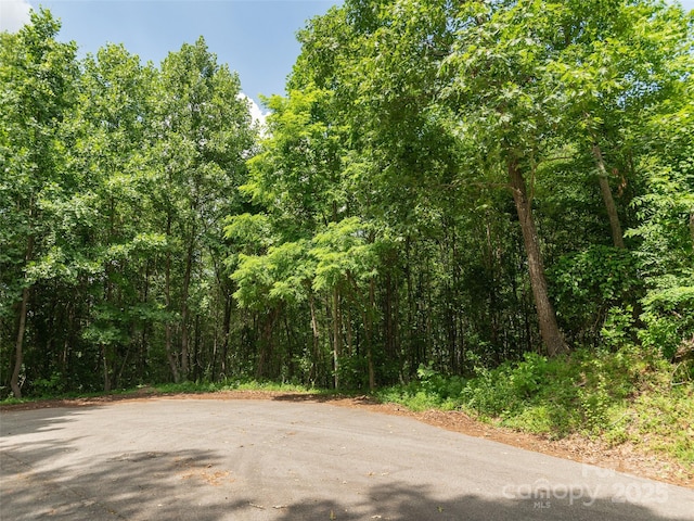 64 Arabella Ln, Arden, NC 28704 - photo 8