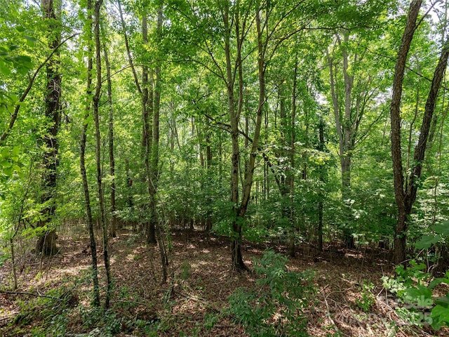 64 Arabella Ln, Arden, NC 28704 - photo 9