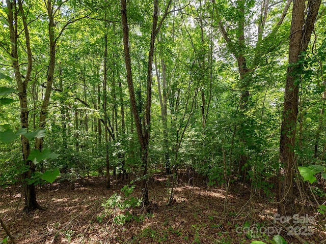 64 Arabella Ln, Arden, NC 28704 - photo 10