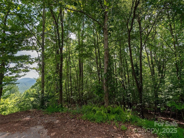 64 Arabella Ln, Arden, NC 28704 - photo 11