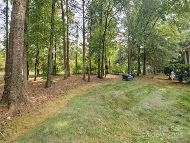 13101 Kensworth Ct, Charlotte, NC 28277 - view of grassy yard
