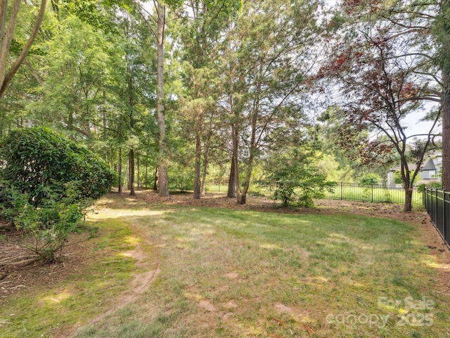 13101 Kensworth Ct, Charlotte, NC 28277 - view of yard