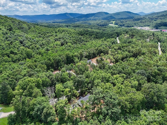 331 Haven Ridge Ln N, Marion, NC 28752 - photo 44