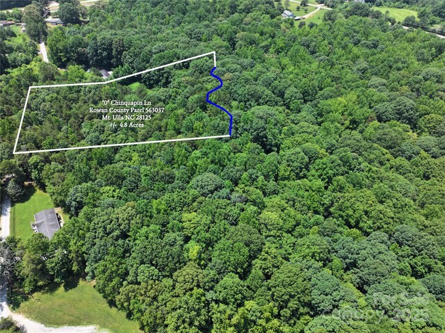 0 Chinquapin Ln, Mount Ulla, NC 28125 - photo 8