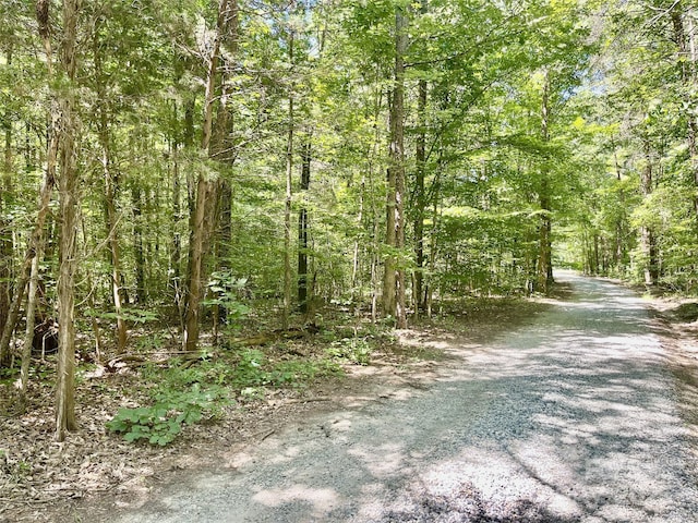 0 Chinquapin Ln, Mount Ulla, NC 28125 - photo 9