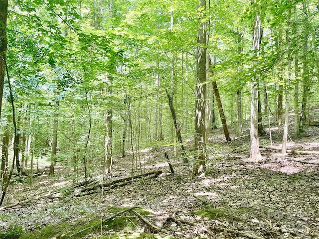 0 Chinquapin Ln, Mount Ulla, NC 28125 - photo 11