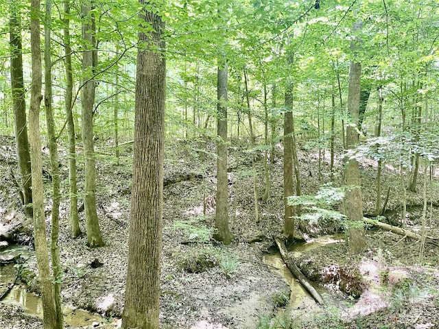 0 Chinquapin Ln, Mount Ulla, NC 28125 - photo 12