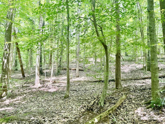 0 Chinquapin Ln, Mount Ulla, NC 28125 - photo 13