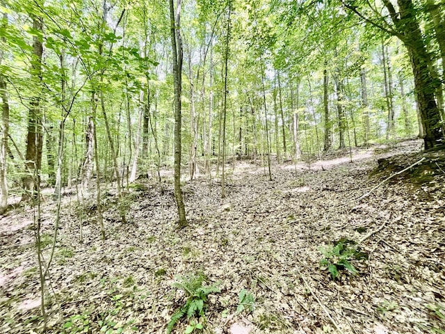 0 Chinquapin Ln, Mount Ulla, NC 28125 - photo 14