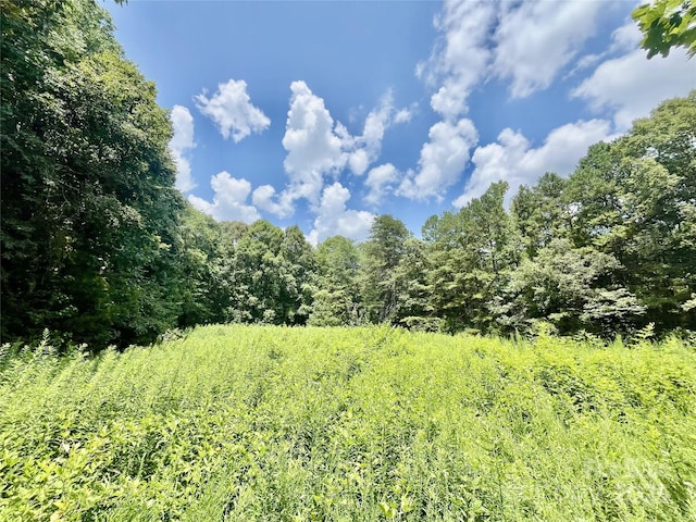 0 Chinquapin Ln, Mount Ulla, NC 28125 - photo 17