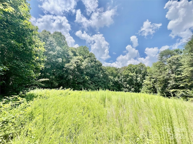 0 Chinquapin Ln, Mount Ulla, NC 28125 - photo 18