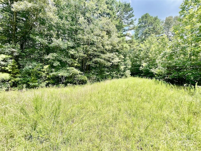 0 Chinquapin Ln, Mount Ulla, NC 28125 - photo 19
