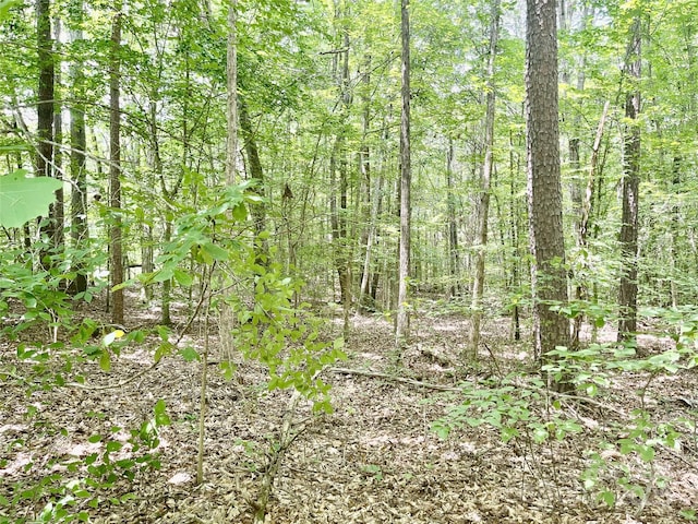 0 Chinquapin Ln, Mount Ulla, NC 28125 - photo 20