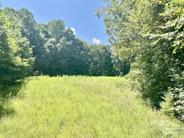 0 Chinquapin Ln, Mount Ulla, NC 28125 - photo 2