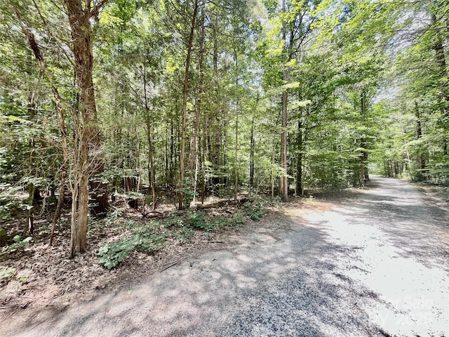 0 Chinquapin Ln, Mount Ulla, NC 28125 - photo 3