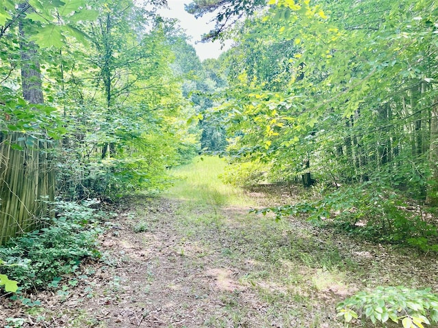 0 Chinquapin Ln, Mount Ulla, NC 28125 - photo 4
