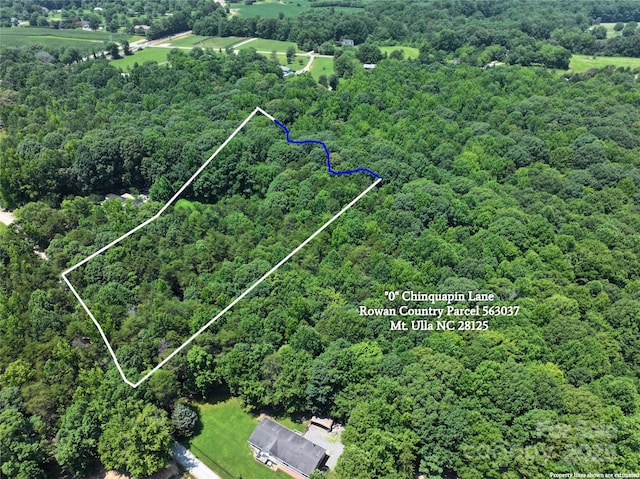 0 Chinquapin Ln, Mount Ulla, NC 28125 - photo 5