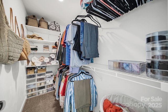 224 Eagle Creek Rd, Clover, SC 29710 - walk in closet featuring carpet