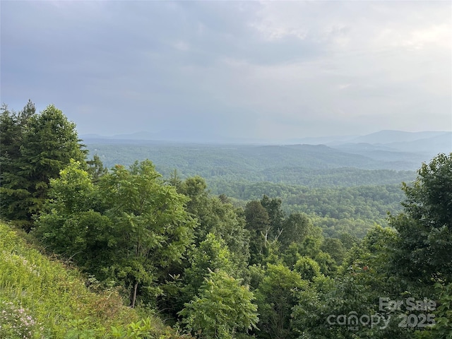 0 Golden Ridge Dr, Lake Lure, NC 28746 - photo 1